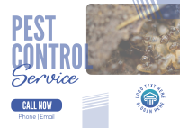 Professional Pest Control Postcard