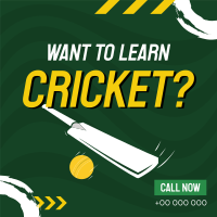 Time to Learn Cricket Linkedin Post Design