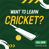 Cricket Linkedin Post example 2