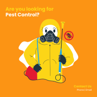 Looking For A Pest Control? Instagram Post