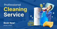 The Professional Cleaner Facebook Ad Design