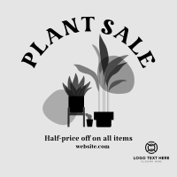 Quirky Plant Sale Instagram Post Design