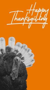 Orange Thanksgiving Turkey Facebook Story