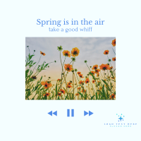 Spring Time Instagram Post Image Preview