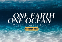 One Ocean Pinterest Cover