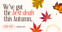 Autumn Leaves Facebook Ad