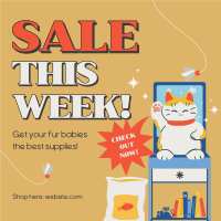 Cat Supplies Sale Instagram Post