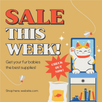 Cat Supplies Sale Instagram Post Image Preview