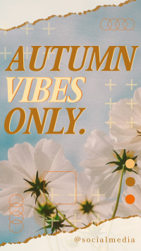 Autumn Vibes Greeting Instagram Story