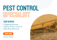 Pest Control Management Postcard Design