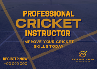 Professional Cricket Coach Postcard Image Preview