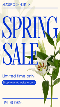 Spring Season Promo Facebook Story