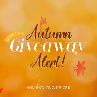 Autumn Giveaway Alert Instagram Post