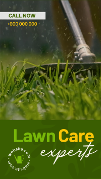 Lawn Care Experts Instagram Story