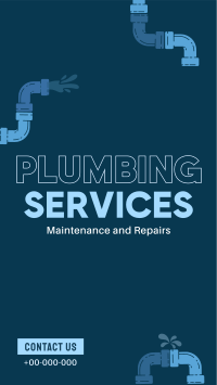 Plumbing Expert Services TikTok Video