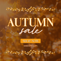 Special Autumn Sale  Linkedin Post