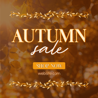 Special Autumn Sale  Linkedin Post Design