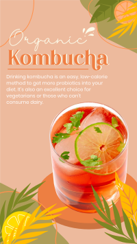 Probiotic Kombucha Facebook Story