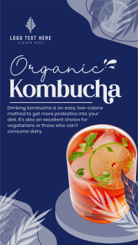 Probiotic Kombucha Instagram Story