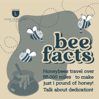 Honey Bee Facts Instagram Post