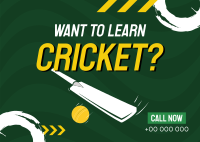 Time to Learn Cricket Postcard