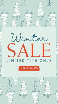 Winter Pines Sale TikTok Video