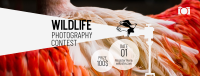 Wildlife Photography Contest Facebook Cover