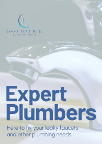 Expert Plumbers Flyer