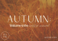 Warm Autumn Greetings Postcard Image Preview