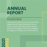 Annual Report Lines Linkedin Post Design