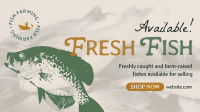 Fresh Fishes Available Video