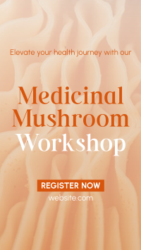 Minimal Medicinal Mushroom Workshop Instagram Story