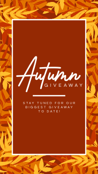 Leafy Autumn Giveaway Facebook Story