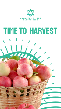 Harvest Apples Facebook Story