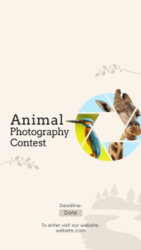 Animals Photography Contest Instagram Story