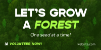 Forest Grow Tree Planting Twitter Post