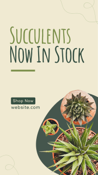 New Succulents Facebook Story