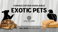 Exotic Vet Consultation Animation Image Preview