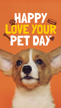 Wonderful Love Your Pet Day Greeting Instagram Reel Image Preview