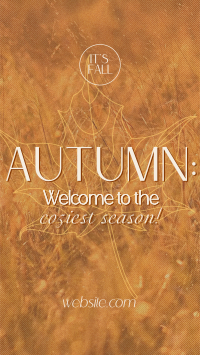 Warm Autumn Greetings TikTok Video