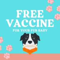 Quirky Dog Vet Vaccine Instagram Post
