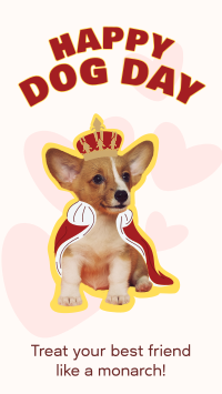 Dog Day Royalty Instagram Story