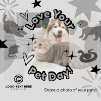 Share your Pet's Photo Instagram Post