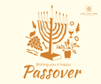 Picasso Passover Facebook Post