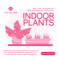 Indoor Greens Instagram Post