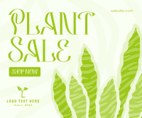 Bubbly Plant Sale Facebook Post