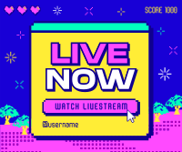 Pixel Livestreamer Facebook Post Design