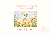 Spring Time Postcard