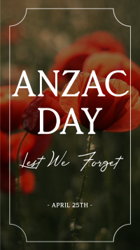 Poppy Flower Anzac Day Video