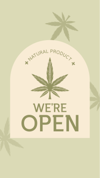 Open Medical Marijuana Video